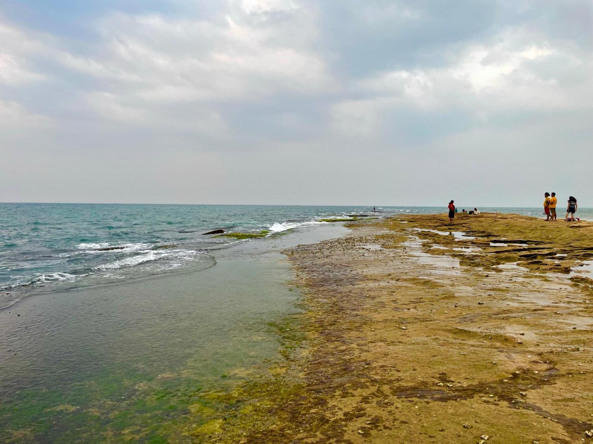 Negombo Morawala Beach Villa エクステリア 写真